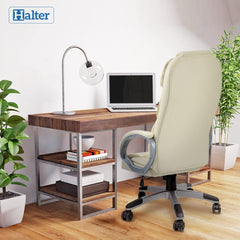 Ergonomic High Back Executive Office Chair for Work and Gaming, Lumbar Support, Adjustable Tilt, Swivel Base, All-Day Comfort, Beige